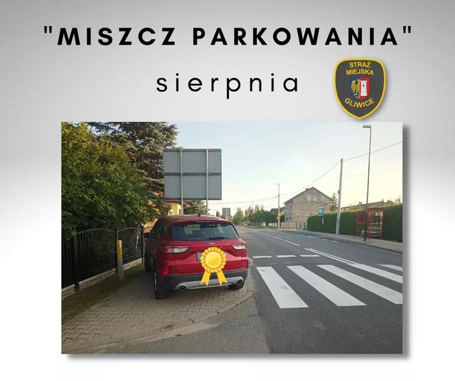 Miszczowie parkowania w Gliwicach 