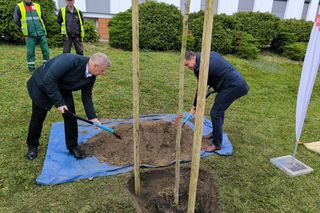 Prezydent zaprasza mieszkańców Leszna do sadzenia drzew. Trzeba je najpierw kupić za własne pieniądze