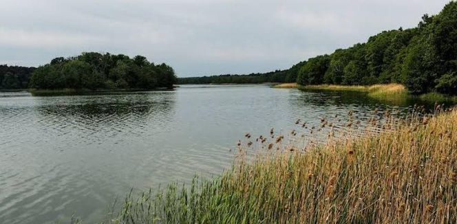 Wielkopolski Park Narodowy 