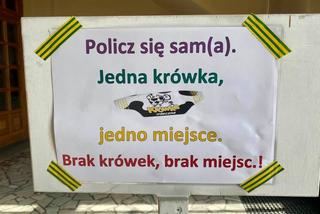 Koronawirus. Wodzisław Śląski: W kościele wiernych będzie liczył krówkomat. To pomysł proboszcza