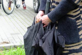 Cud w Parczewie! Pielgrzymki do świętego drzewa, stoją z różańcami pogrążeni w modlitwie