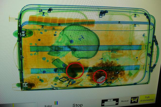 Ludzka czaszka w walizce na lotnisku w Goleniowie