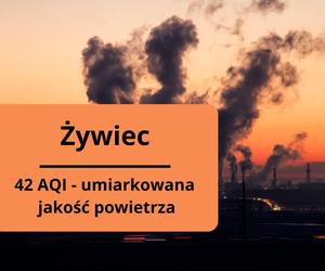 Zanieczyszczenie powietrza w woj. śląskim. Stan w miastach na 25.10.2023 r.