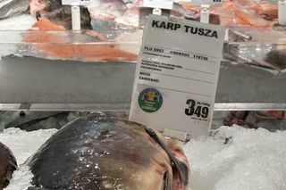 Ceny karpia 2024. Kraków