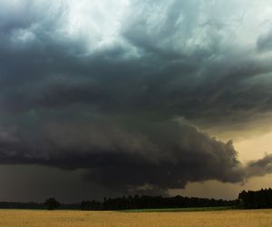 Coraz cieplej, ale jeden szczegół popsuje pogodę! IMGW ostrzega [Prognoza na 21.05.2024]