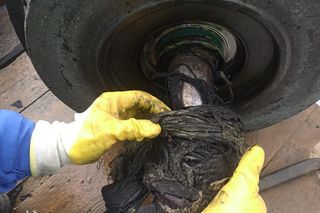 Pokazali, co wrocławianie wrzucają do toalet. Do kanalizy lądują nawet kury