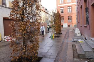 Alejka w centrum Olsztyna zmieniła się nie do poznania. Będzie najpiękniejsza w mieście? [ZDJĘCIA]