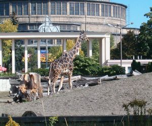 Wrocławskie ZOO