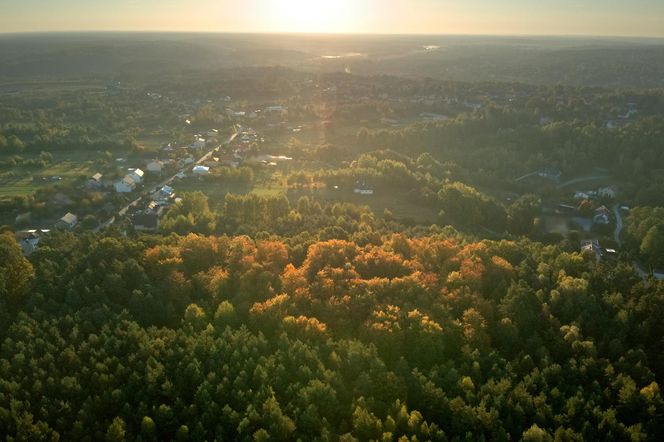Zielona Gmina Brody