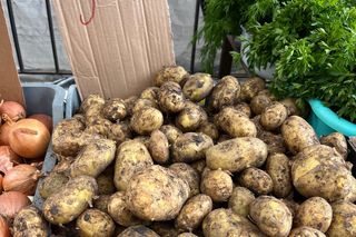 Nowalijki na targowiskach. Sprawdzamy ceny warzyw i owoców