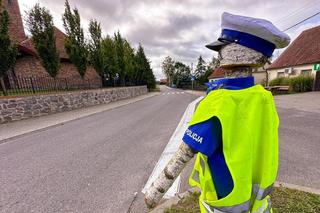 Policjant drewniak pilnuje porządku przy drodze na Mazurach. Sprawa trafiła na policję