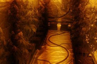 GIGANTYCZNA wytwórnia narkotyków w salonie tatuażu na lubelskim Czechowie! 