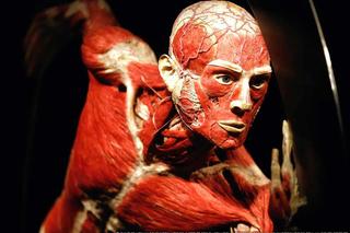 Body Worlds