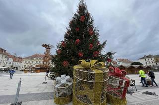 Ubieranie choinki na Starym Rynku w Bydgoszczy. Czuć już magię świąt 