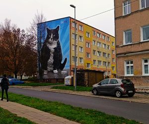 Mural z kotem Gackiem już odsłonięty