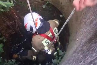 Pies wpadł do głębokiej studni. Na pomoc ruszyli strażacy