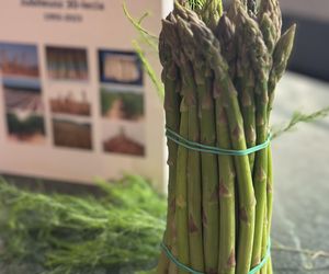 Gmina Przemęt to królestwo szparagów. Tak się bawią na święcie warzywa