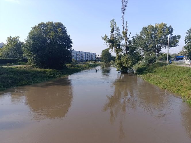 Stan rzeki Ślęza cały czas się podnosi. Przekroczono już stan alarmowy. Jak wygląda sytuacja?