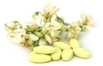 MORINGA - właściwości lecznicze i zastosowanie