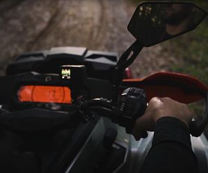 Roberto Soldić pokazał swojego potwora