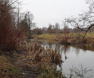 Spacer doliną Bystrzycy na lubelskim Wrotkowie