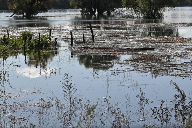 Przekroczone stany alarmowe na Odrze