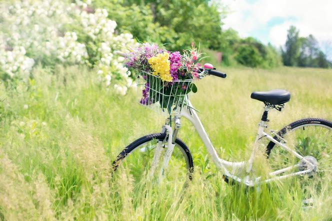 Zielona Góra: 3 maja Piknik w Parku Piastowskim. Oznakujesz rower