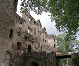 Zamek Świny