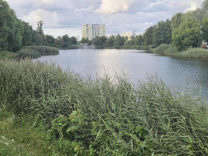 Zielona perła Bartodziejów. Odkryj uroki bydgoskiego Balatonu