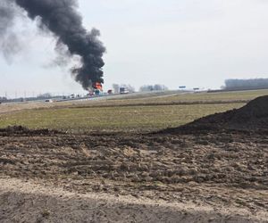 Pożar autokaru z dziećmi na A2