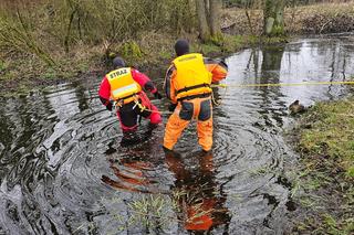 Tajemnicza śmierć rowerzysty. Pana Mariana znaleziono kilkadziesiąt kilometrów od domu
