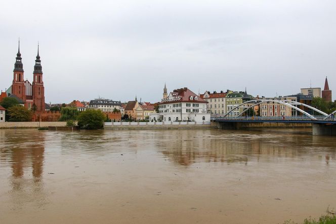 Powódź w Opolu. Stan Odry w środę, 18.09.2024 