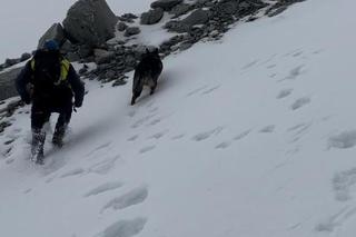 Tragedia w Tatrach. Nie żyje 24-letni turysta. Nie miał mu kto pomóc