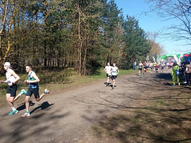 II edycja Bronek Run Forest Edition w Grudziądzu