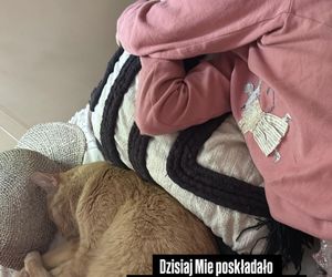 Natalia Siwiec odrobaczyła córkę. Lekarka się wściekła. Pisze o zgłoszeniu tego odpowiednim organom