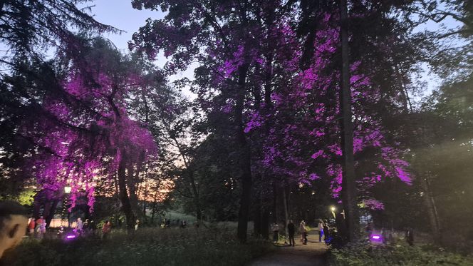 Olsztyn zamienił się w magiczną krainę. Park Świateł przyciągnął tłumy!
