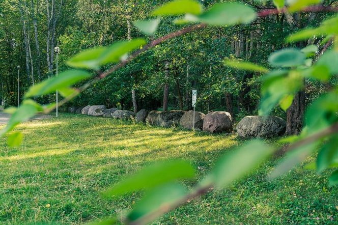 Białystok buduje Park Bioróżnorodności