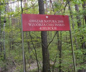 W majówkę ruszyłem rowerem ulicami Kielc! 