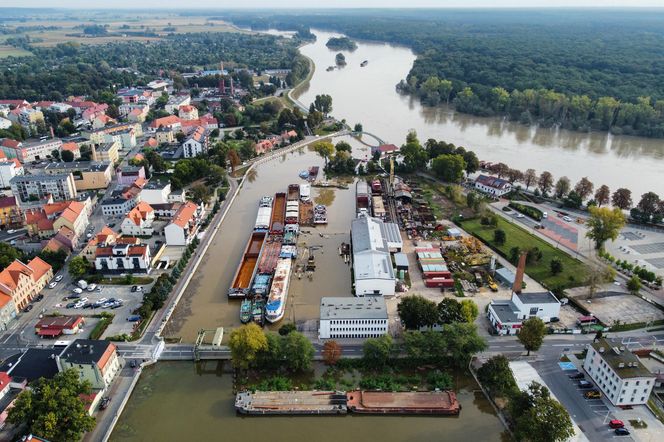 Nowa Sól - stan Odry na 23 września