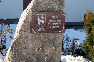 Niezwykła wieś na Warmii tylko 8 km od Olsztyna. Wyróżnia ją charakterystyczny układ budynków