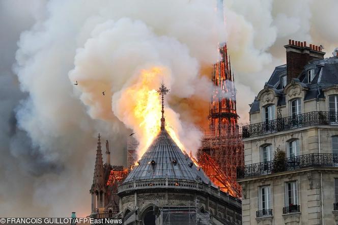 Płonie Katedra Notre-Dame w Paryżu