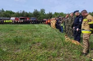 Warsztaty poszukiwawczo-ratownicze