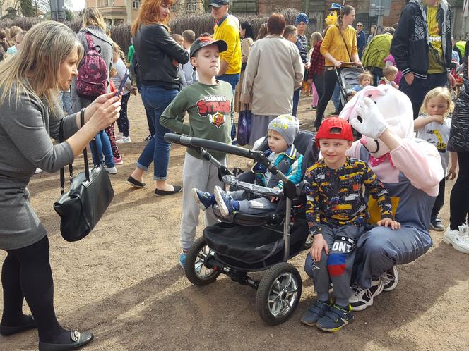 Zające chodzące i z czekolady w centrum Leszna