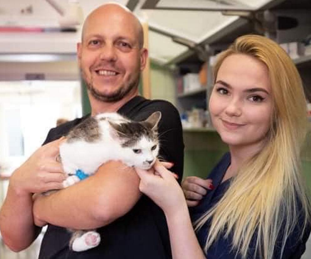 Życie kotki Kiri uratowała transfuzja krwi 