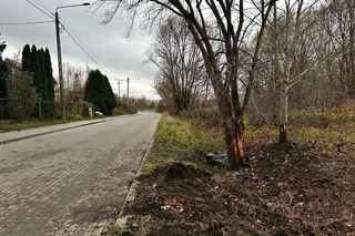 Tragiczny wypadek w Ostródzie. Samochód wbił się w drzewo, nie żyje 25-latek