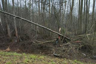 Śmiertelny wypadek pod Radomskiem! Ciało 31-latka leżało obok 25-latki [ZDJĘCIA]