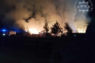 Pożar ośrodka jeździeckiego Lando
