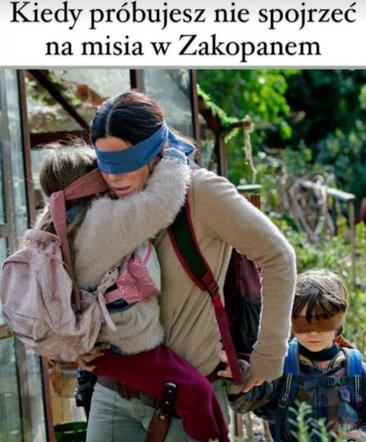 Najlepsze memy z białym misiem z Krupówek!