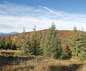 To miejsce w Małopolsce najpiękniej wygląda późną jesienią według AI. Ma status kultowego