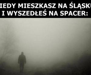 Memy o Śląsku i Ślązakach